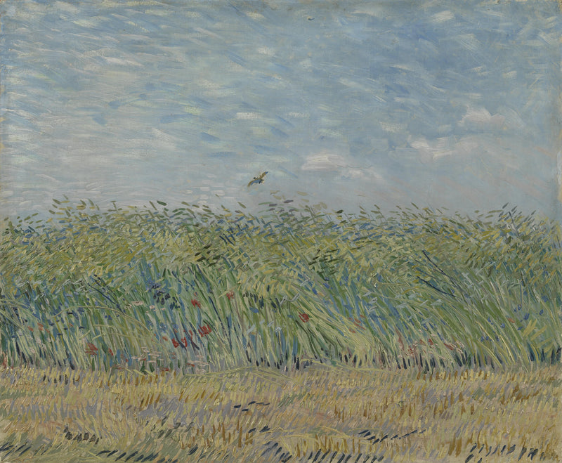 ทุ่งข้าวสาลีกับนกกระจาบ - Vincent van Gogh