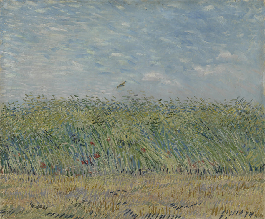 ทุ่งข้าวสาลีกับนกกระจาบ - Vincent van Gogh
