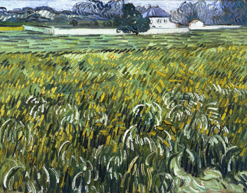 ทุ่งข้าวสาลีที่ออแวร์กับบ้าน - Vincent van Gogh