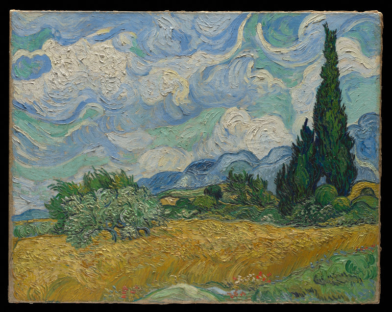 ต้นไซเปรสกับทุ่งข้าวสาลีสีทอง - Vincent van Gogh