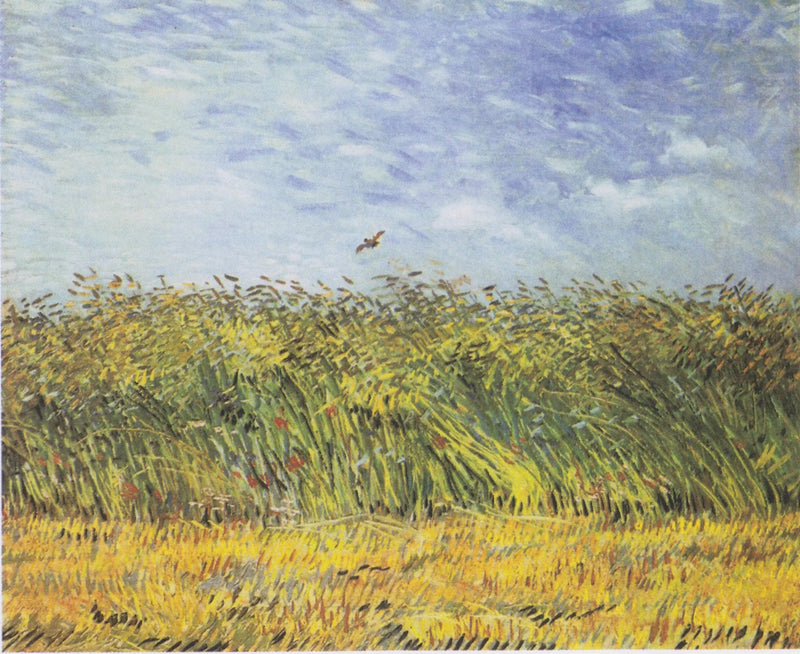 ทุ่งข้าวสาลีกับนกกระจาบ - Vincent van Gogh