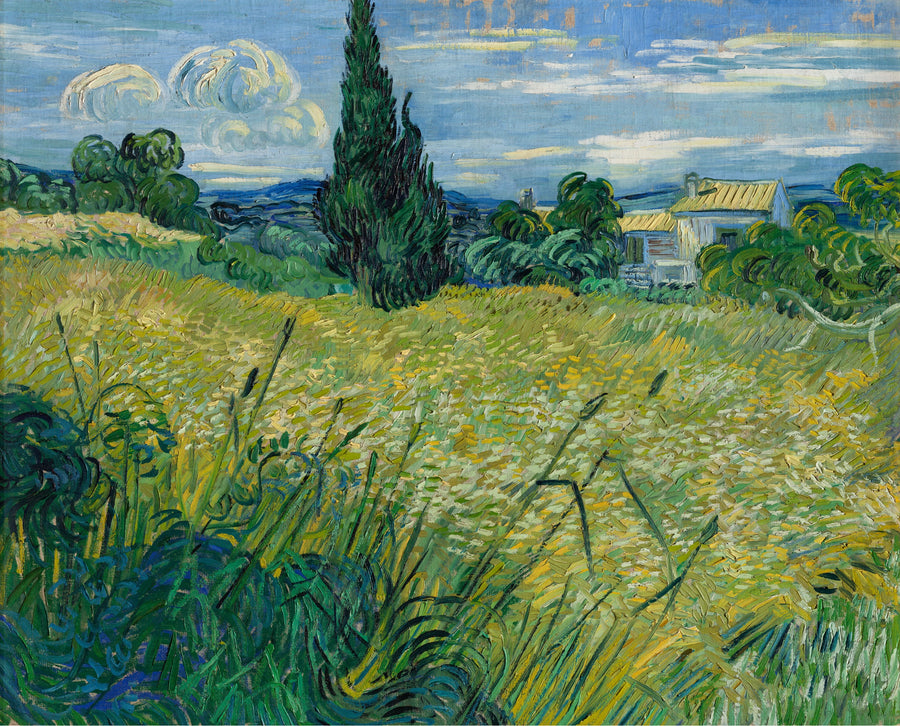 ทุ่งข้าวสาลีเขียวกับต้นไซเปรส - Vincent van Gogh