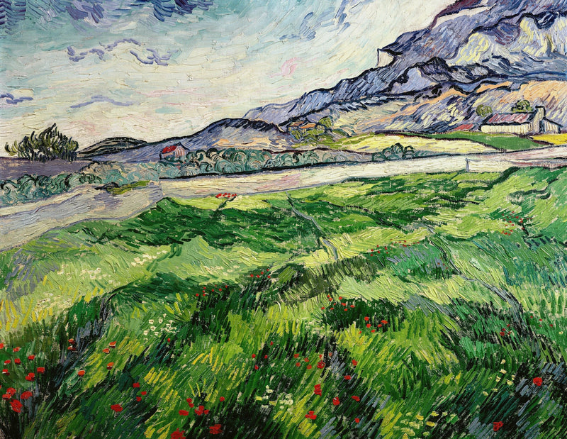 ทุ่งข้าวสาลีเขียว - Vincent van Gogh