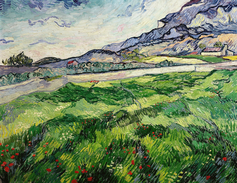 ทุ่งข้าวสาลีเขียว - Vincent van Gogh