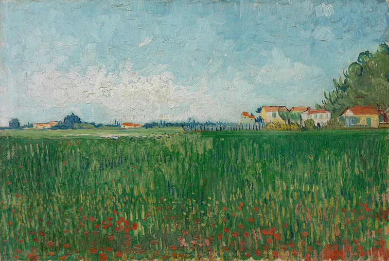 ทุ่งดอกป๊อปปี้ - Vincent van Gogh