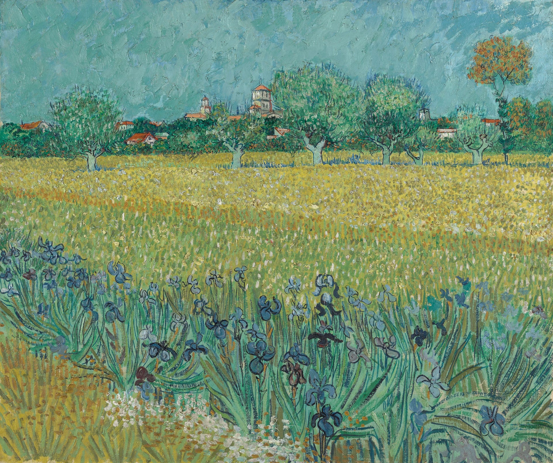 Champ avec iris près d’Arles F409 de Vincent van Gogh, Van Gogh Museum
