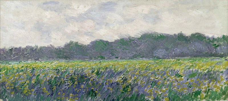 ทุ่งม่านตาสีเหลืองใน Giverny W1137 - Claude Monet