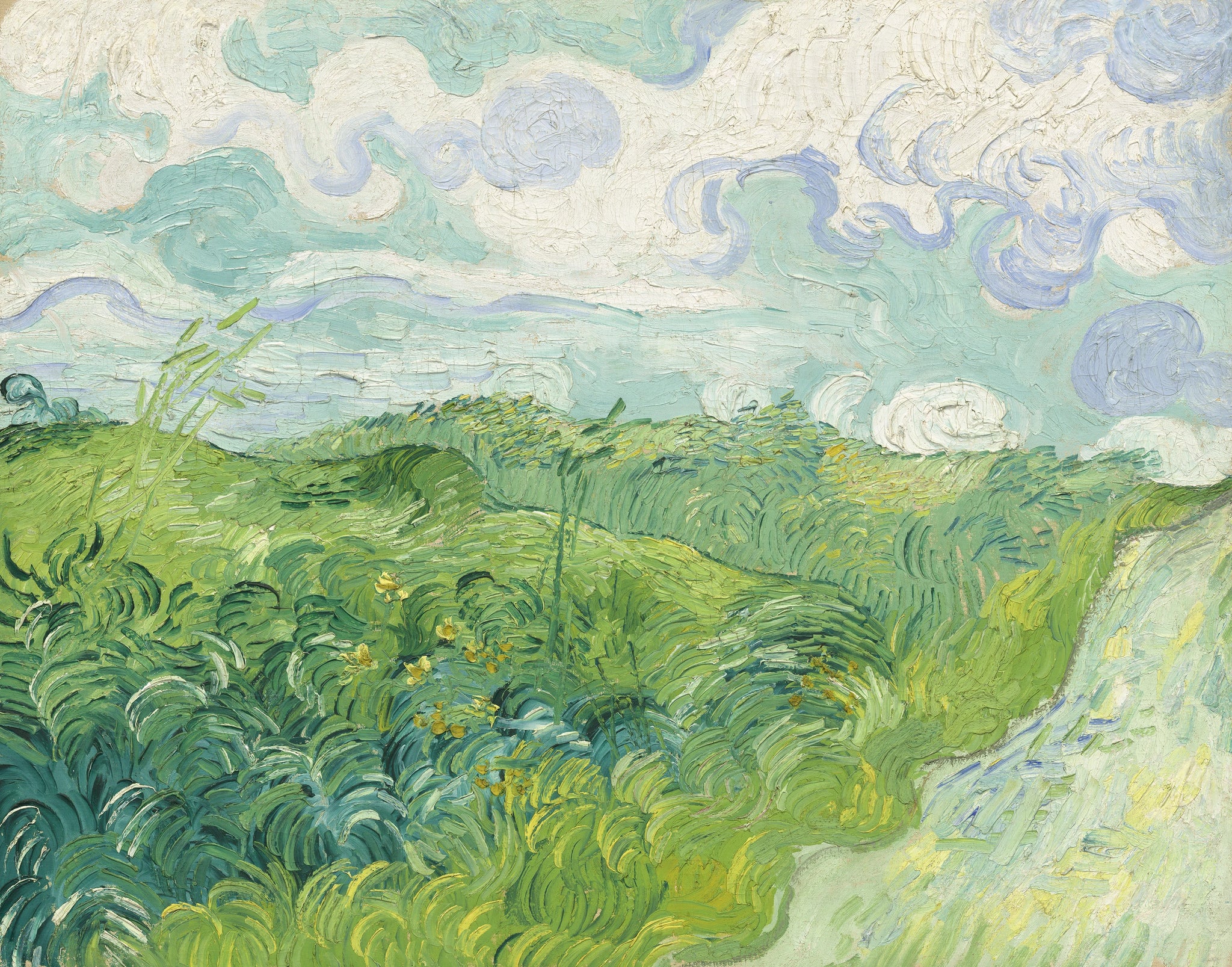 Champs de blé verts à Auvers de Vincent van Gogh, National Gallery of Art