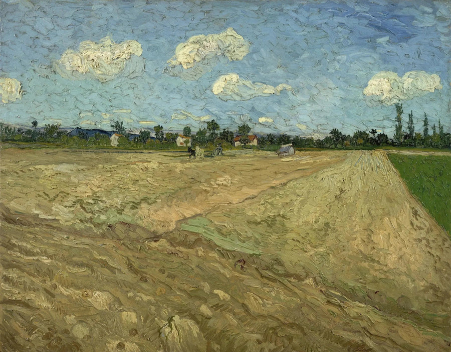 ทุ่งที่ไถแล้ว - Vincent van Gogh