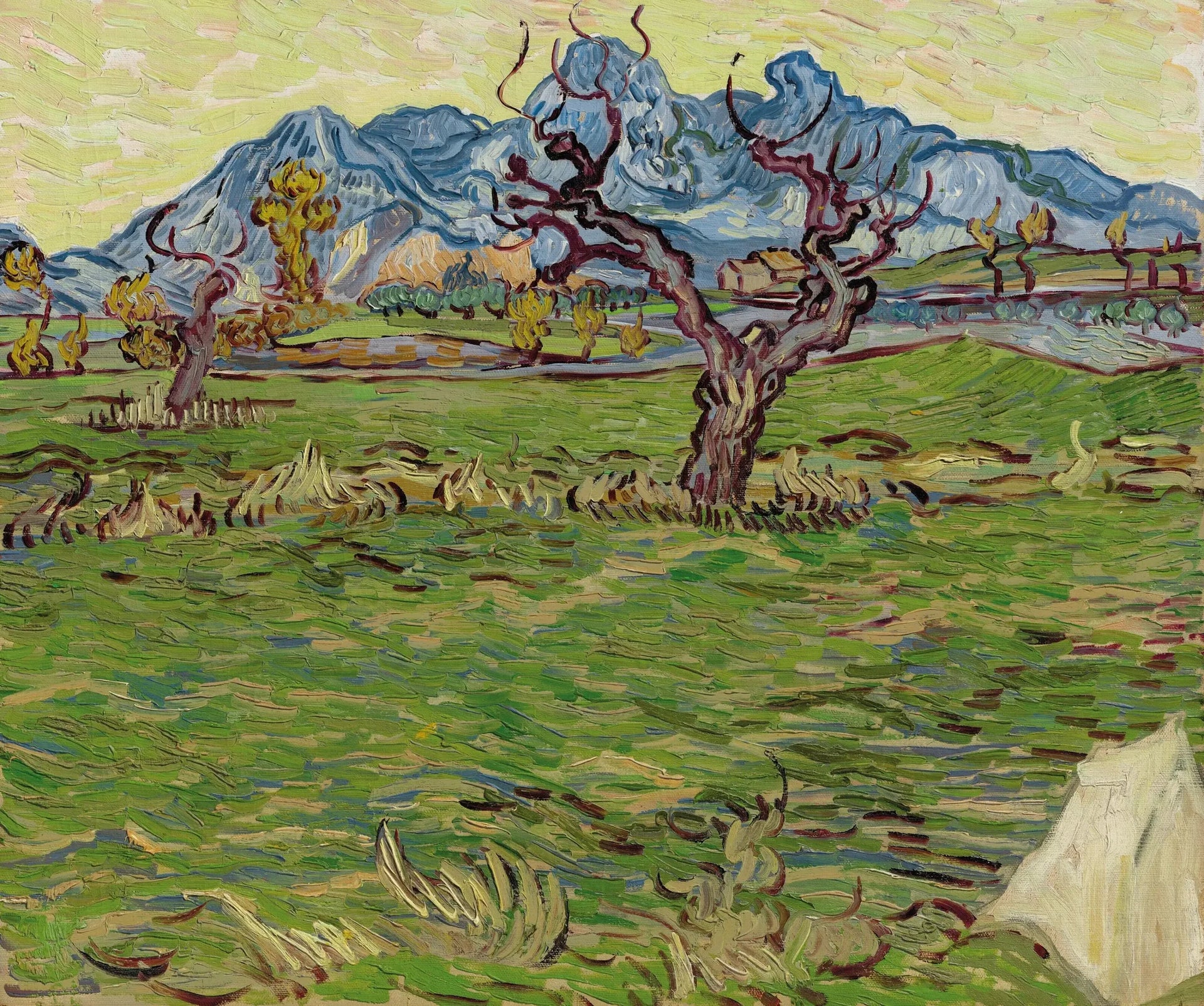 Champs près des Alpilles - Vincent van Gogh image 1 copie de tableau peinte à la main