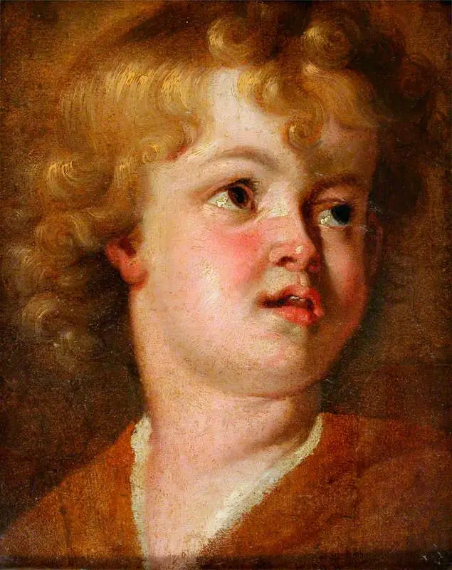 Chef d'un jeune - Antoine van Dyck image 1 tableau peint à l’huile sur toile