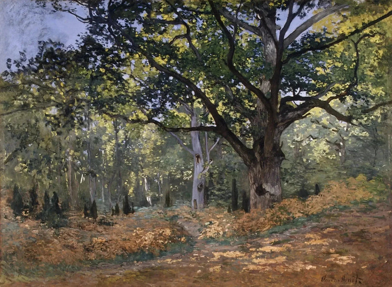 ต้นโอ๊ก Bodmer ป่า Fontainebleau W60 - Claude Monet