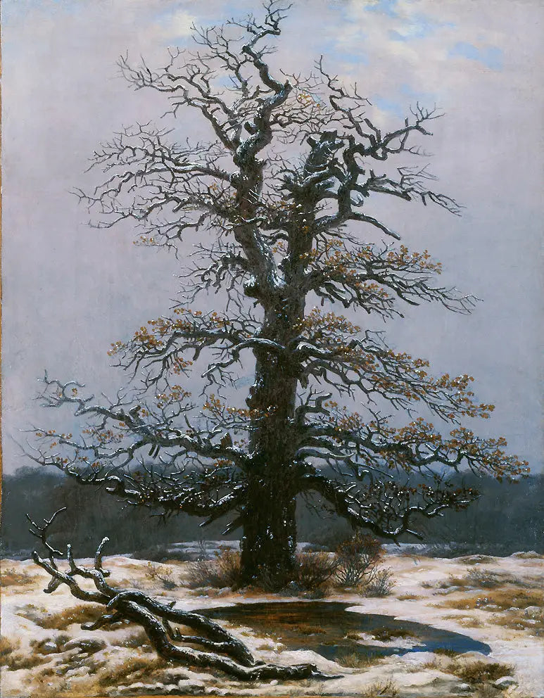 ต้นโอ๊กใต้หิมะ - คาสปาร์ ดาวิด ฟรีดริช