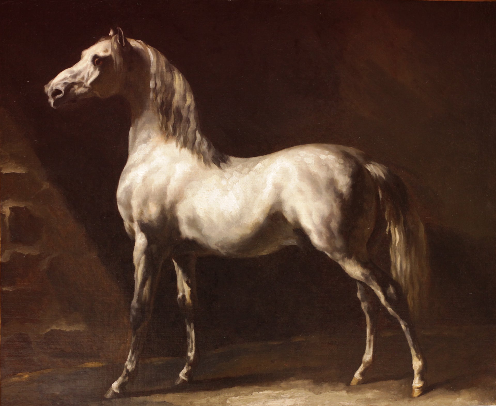 Cheval arabe blanc-gris - Théodore Géricault