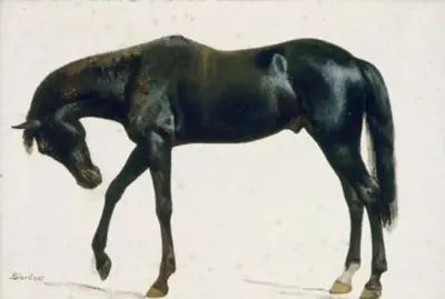 ม้าดำ - อัลเบิร์ต เบียร์สตัด