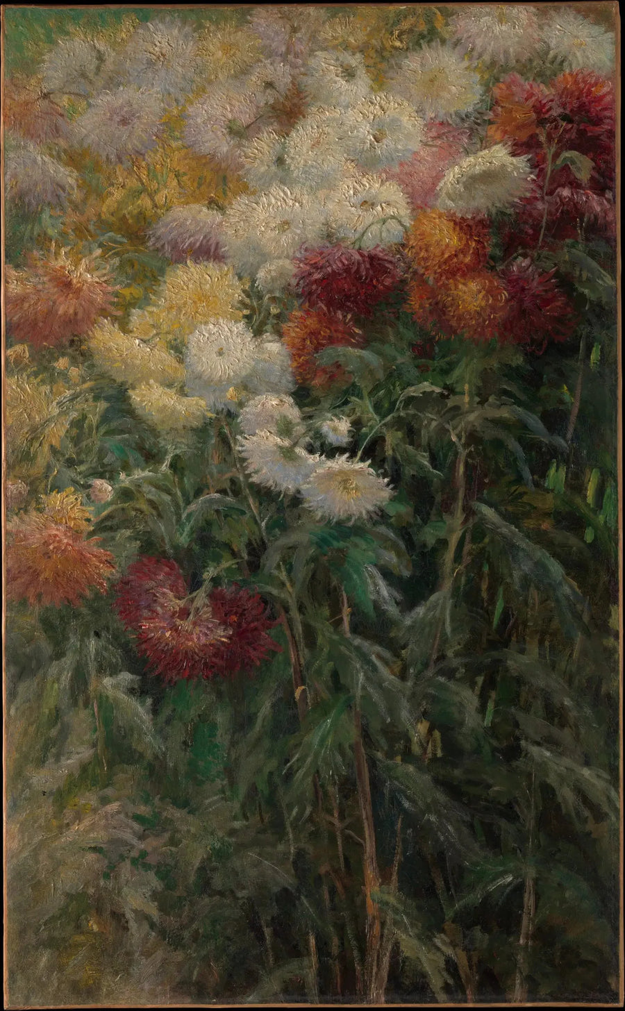 ดอกเบญจมาศในสวน Petit Gennevilliers - Gustave Caillebotte