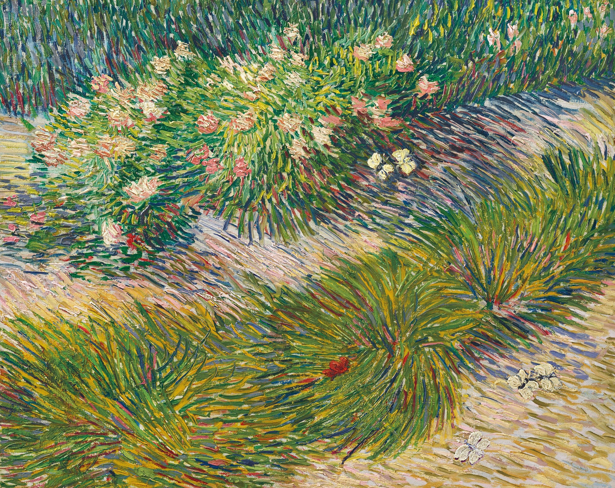 Coin de jardin avec papillons F460 de Vincent van Gogh, collection privée