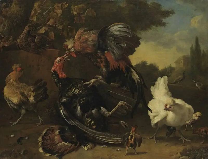 การต่อสู้ระหว่างไก่ตัวผู้และไก่งวง - Melchior de Hondecoeter