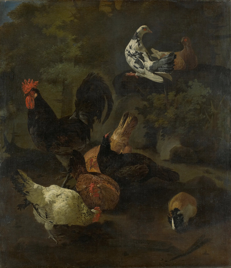 Un coq avec des poules, des pigeons et une marmotte - Jacomo Victors