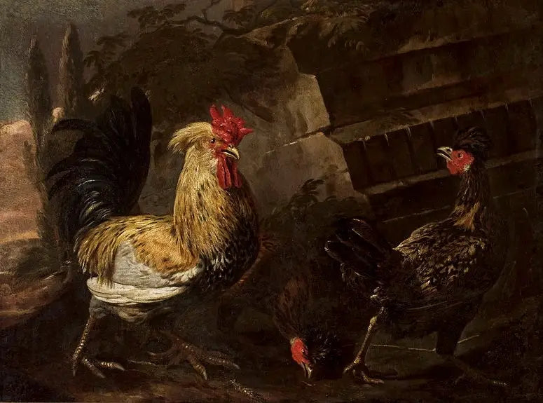 ไก่และไก่บ้าน - เมลคิออร์ เดอ ฮอนเดคูเทอร์