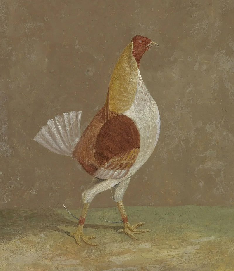 ไก่ชน: ไก่ชนที่อกสีอ่อน หันไปทางขวา - จอห์น เฟรเดอริก เฮอร์ริง, ซี.
