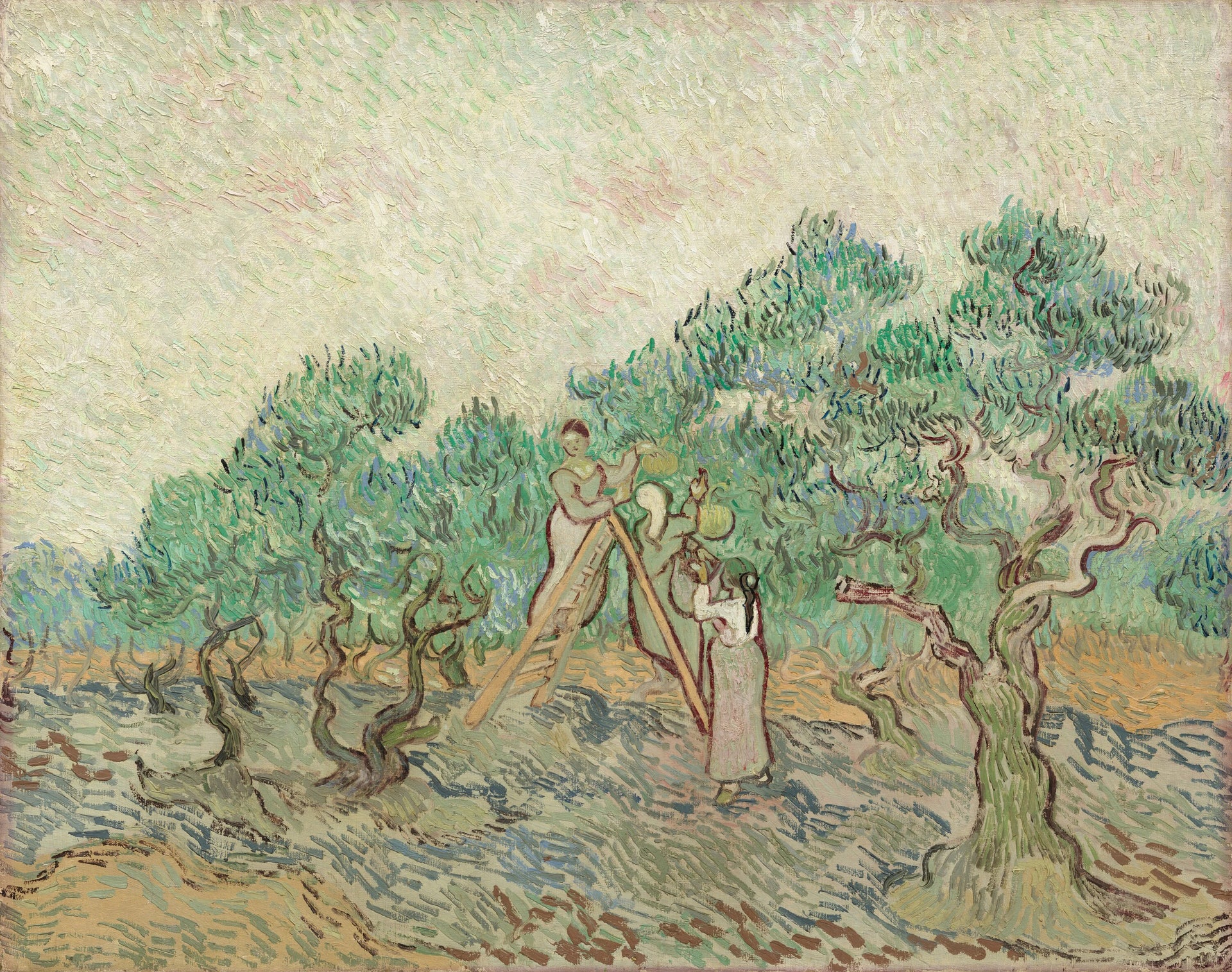 La Cueillette des olives - Vincent van Gogh