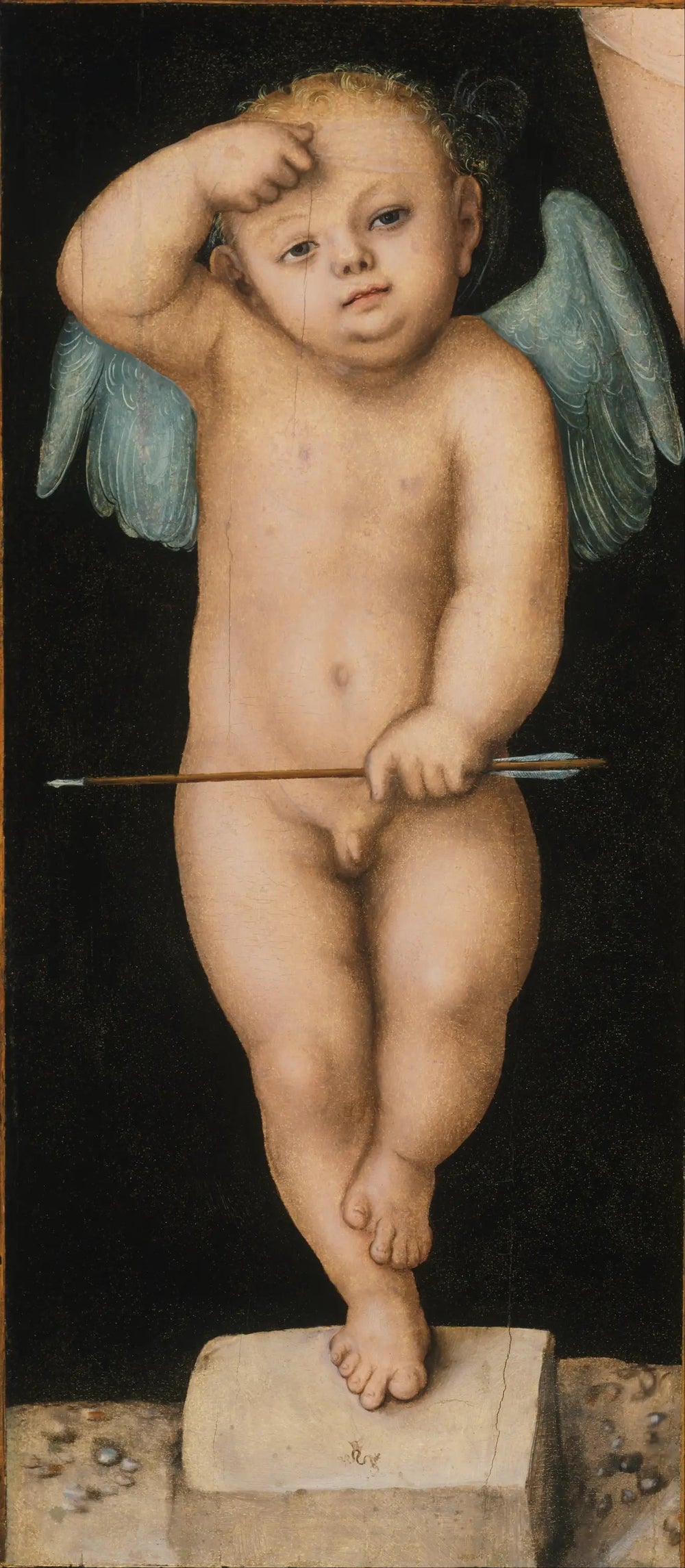 Cupidon - Lucas Cranach the Elder image 1 reproduction artisanale de tableau