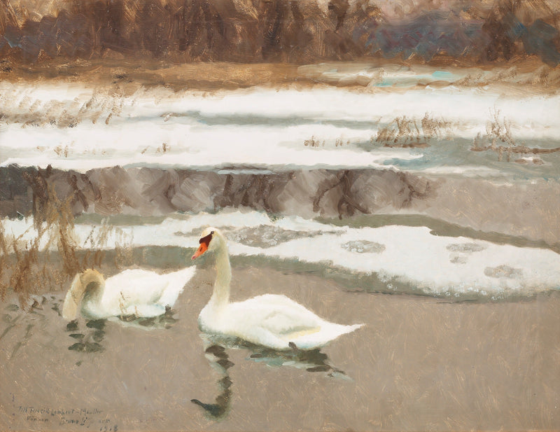 Cygnes - Bruno Liljefors