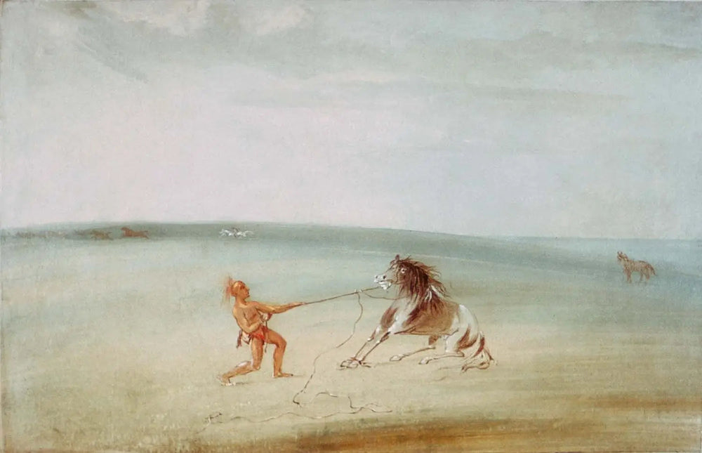Décomposer le cheval sauvage - George Catlin - Alpha Reproduction