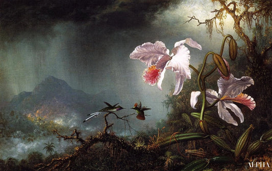 Deux colibris en combat avec deux orchidées - Martin Johnson Heade - Reproductions de tableaux et peintures haut de gamme