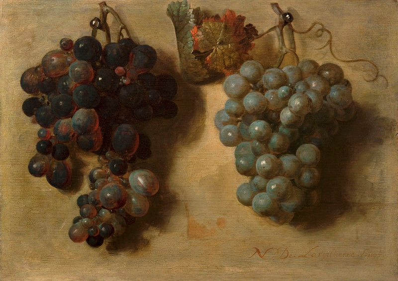Deux grappes de raisin - Nicolas de Largillière