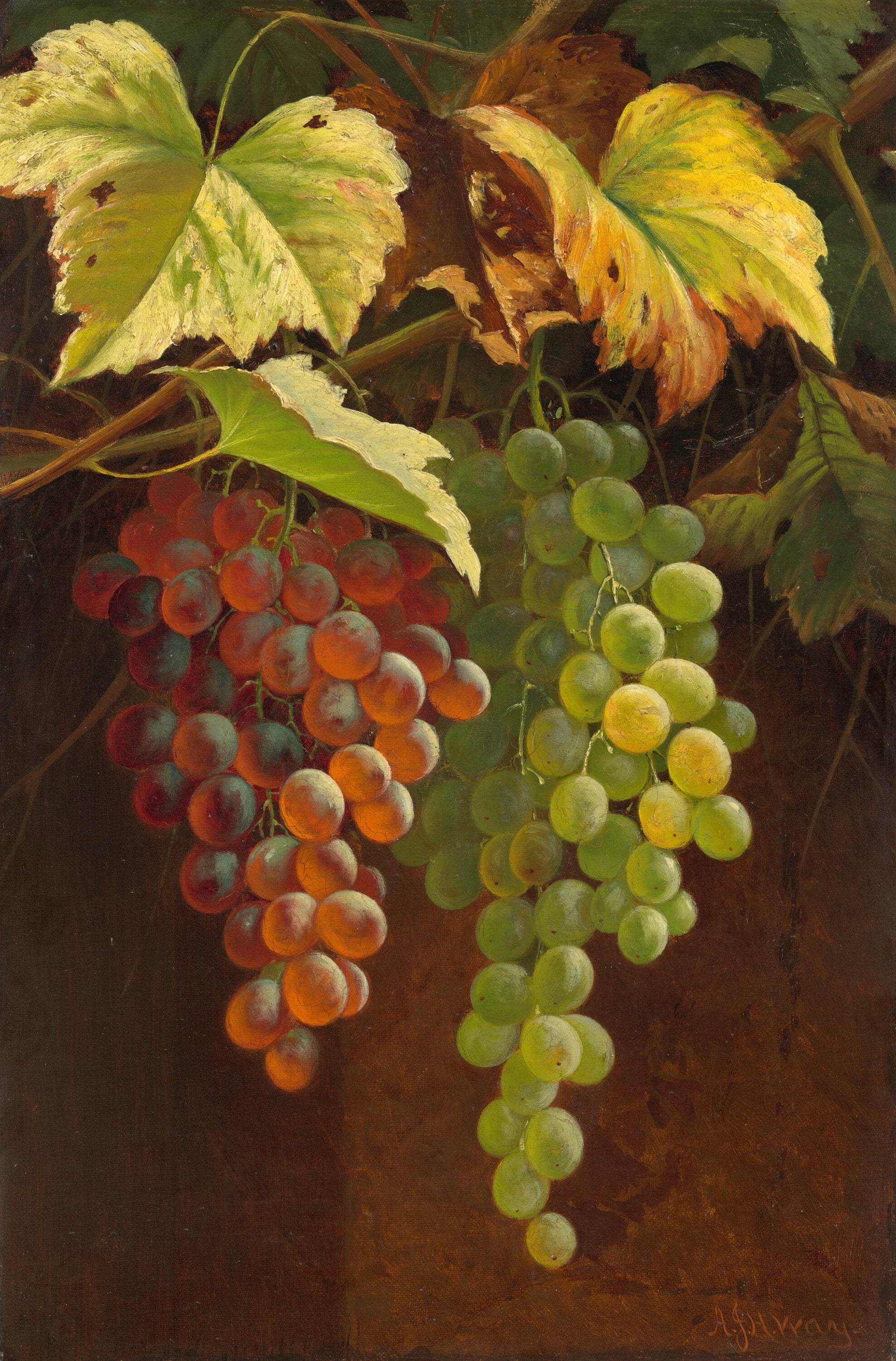 Deux grappes de raisins - Andrew John Henry Way
