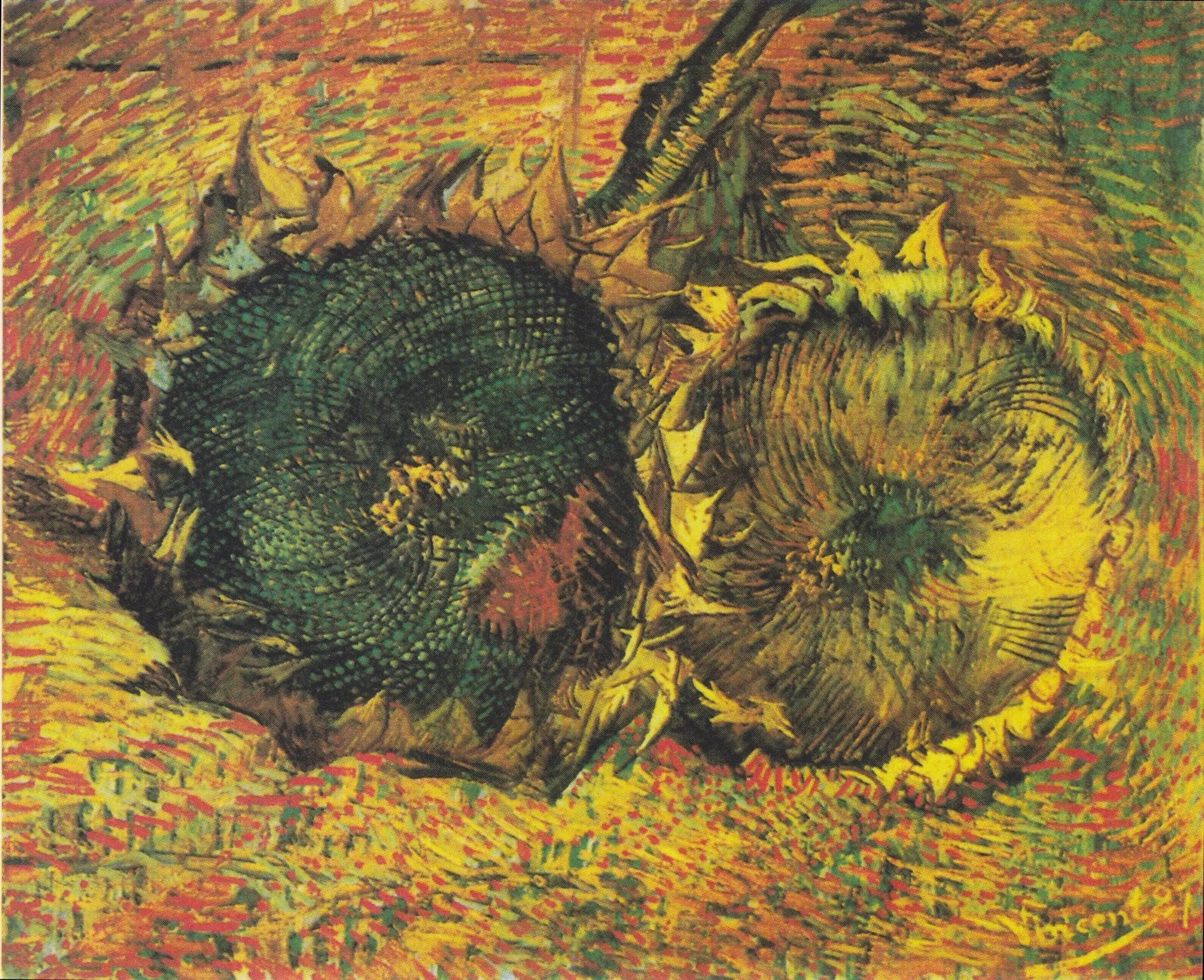 Deux Tournesols coupés - Vincent van Gogh image 1 reproduction d’œuvre d’art à l’huile