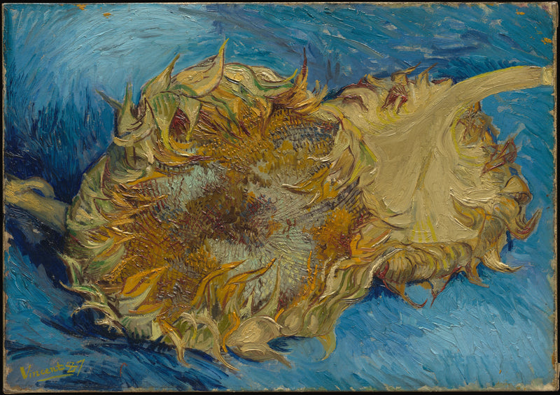 ทานตะวันสองดอก - Vincent van Gogh