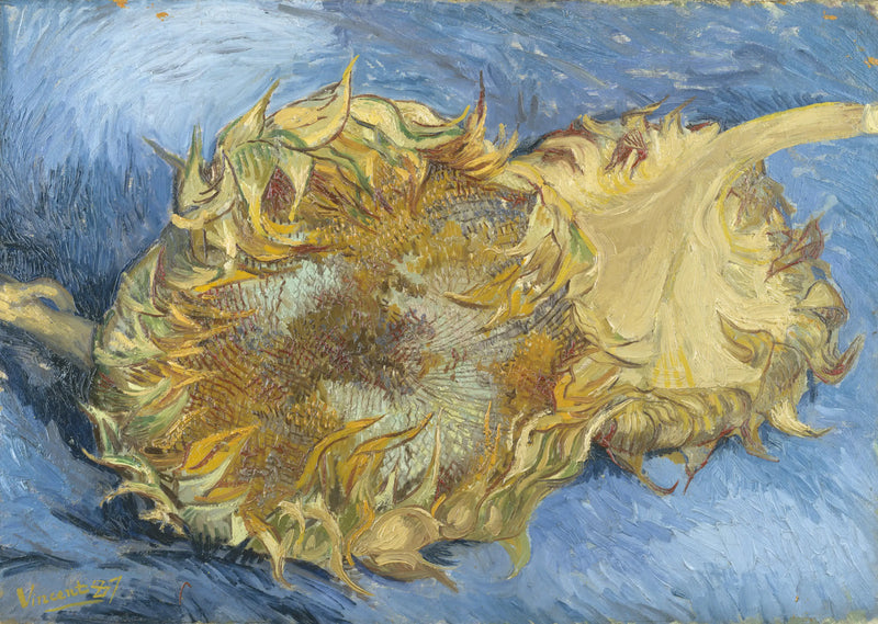 ทานตะวันสองดอก - Vincent van Gogh