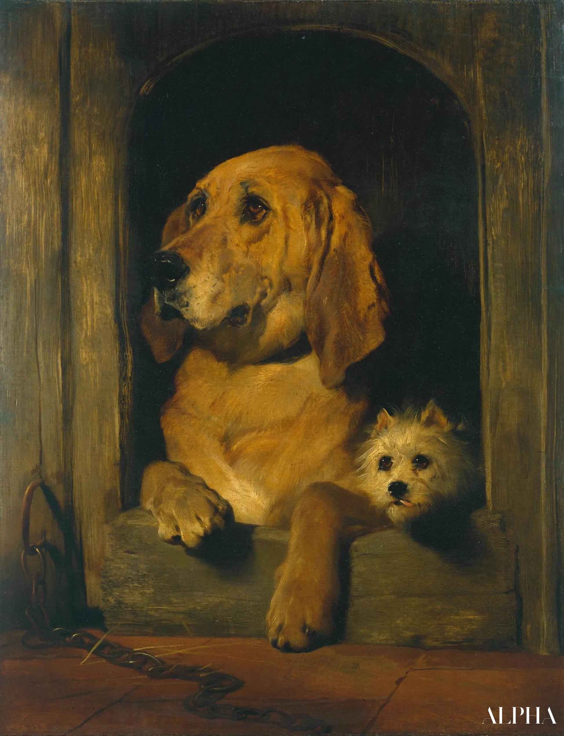 Dignité et impudence - Edwin Landseer - Reproductions de tableaux et peintures haut de gamme