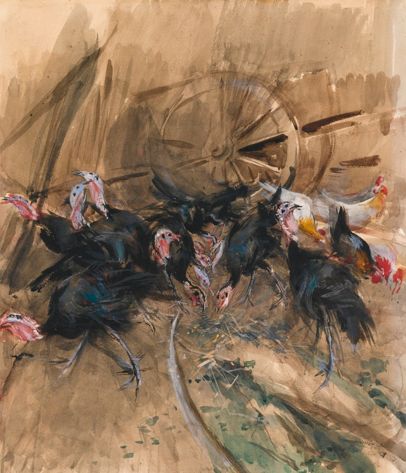 ไก่งวง - จิอันนี โบลดินี