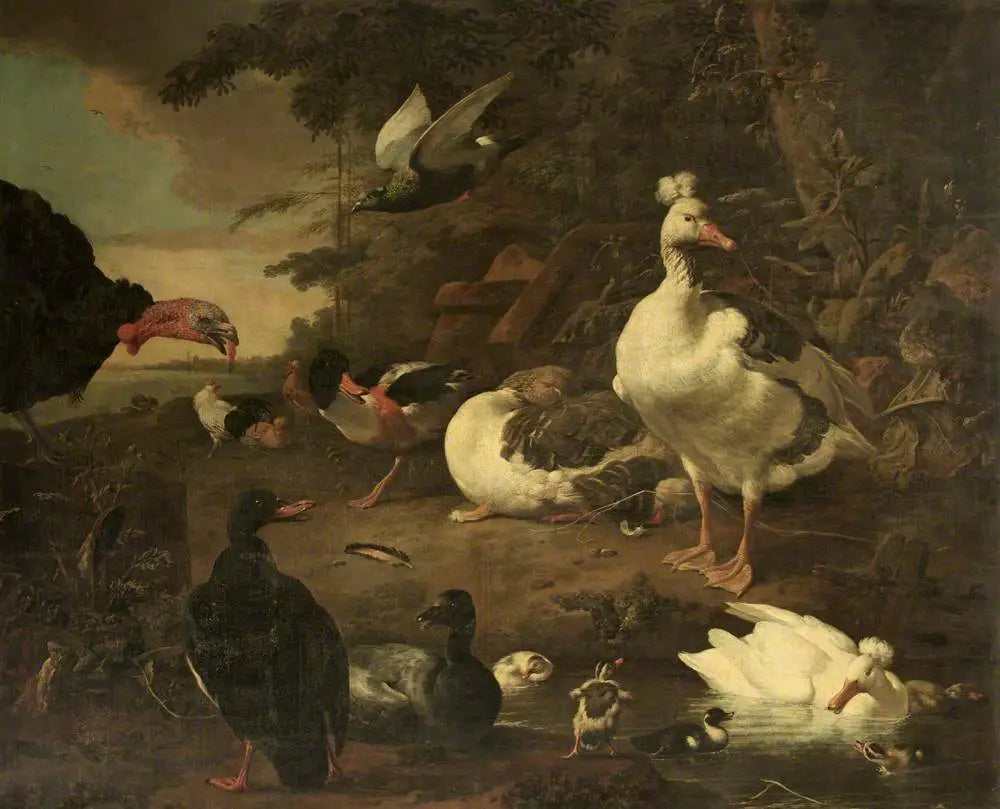 Dindon, oies, tadorne de Belon et autres volailles, dans un paysage avec un ruisseau - Melchior de Hondecoeter image 1 reproduction de peinture à l’huile