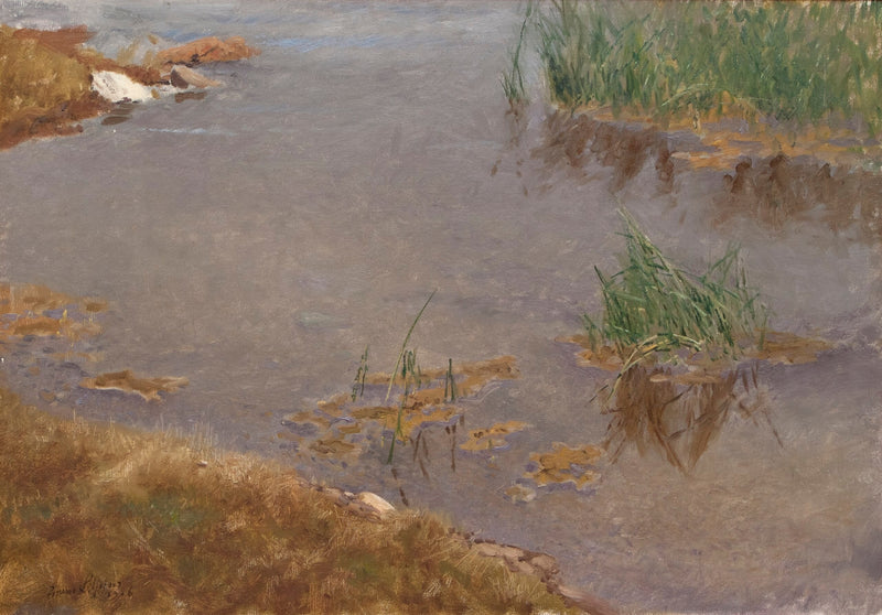 Eaux peu profondes - Bruno Liljefors