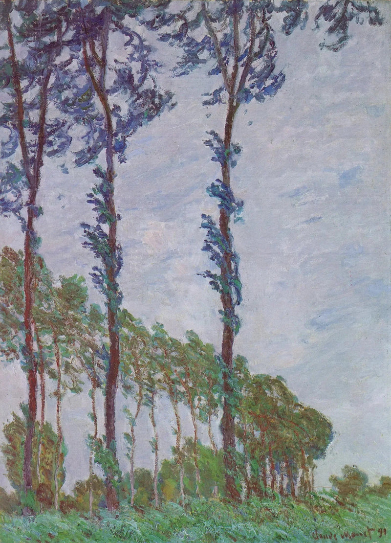 เอฟเฟกต์ลม, ชุดต้นป็อปลาร์ - Claude Monet