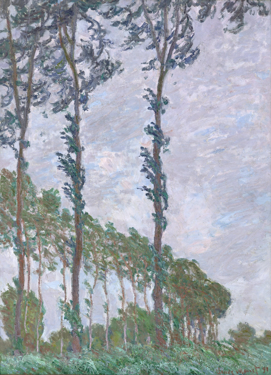 เอฟเฟกต์ลม, ชุดต้นป็อปลาร์ - Claude Monet