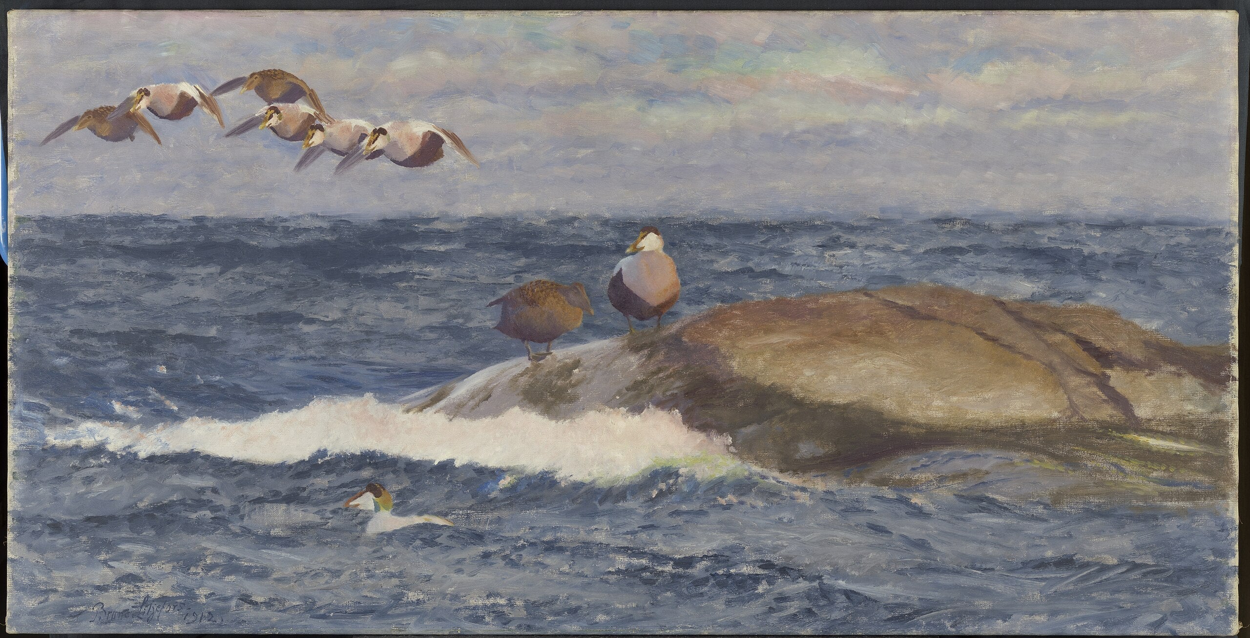 Eidereenden boven woelige zee - Bruno Liljefors image 1 copie de tableau peinte à la main