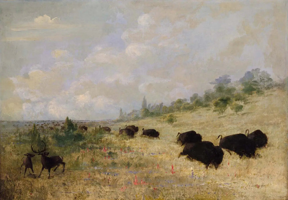 Élans et bisons broutant parmi les fleurs des prairies Texas - George Catlin - Alpha Reproduction