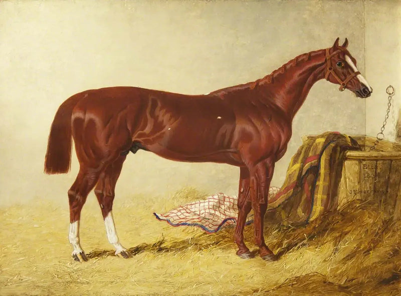 Elis, ผู้ชนะการแข่งขัน St Leger Stakes, 1836, ในกล่องแยก - จอห์น เฟรเดอริก เฮอร์ริง, ซี.