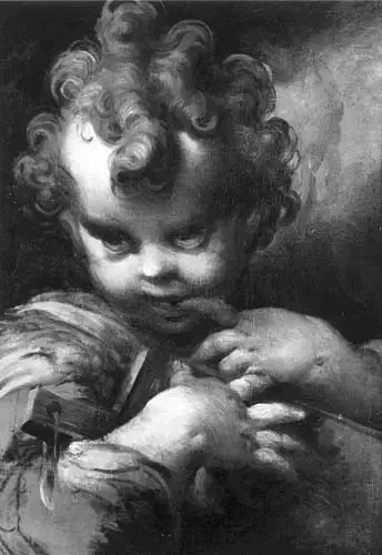 Enfant Saint Jean - Parmigianino image 1 reproduction artisanale de tableau