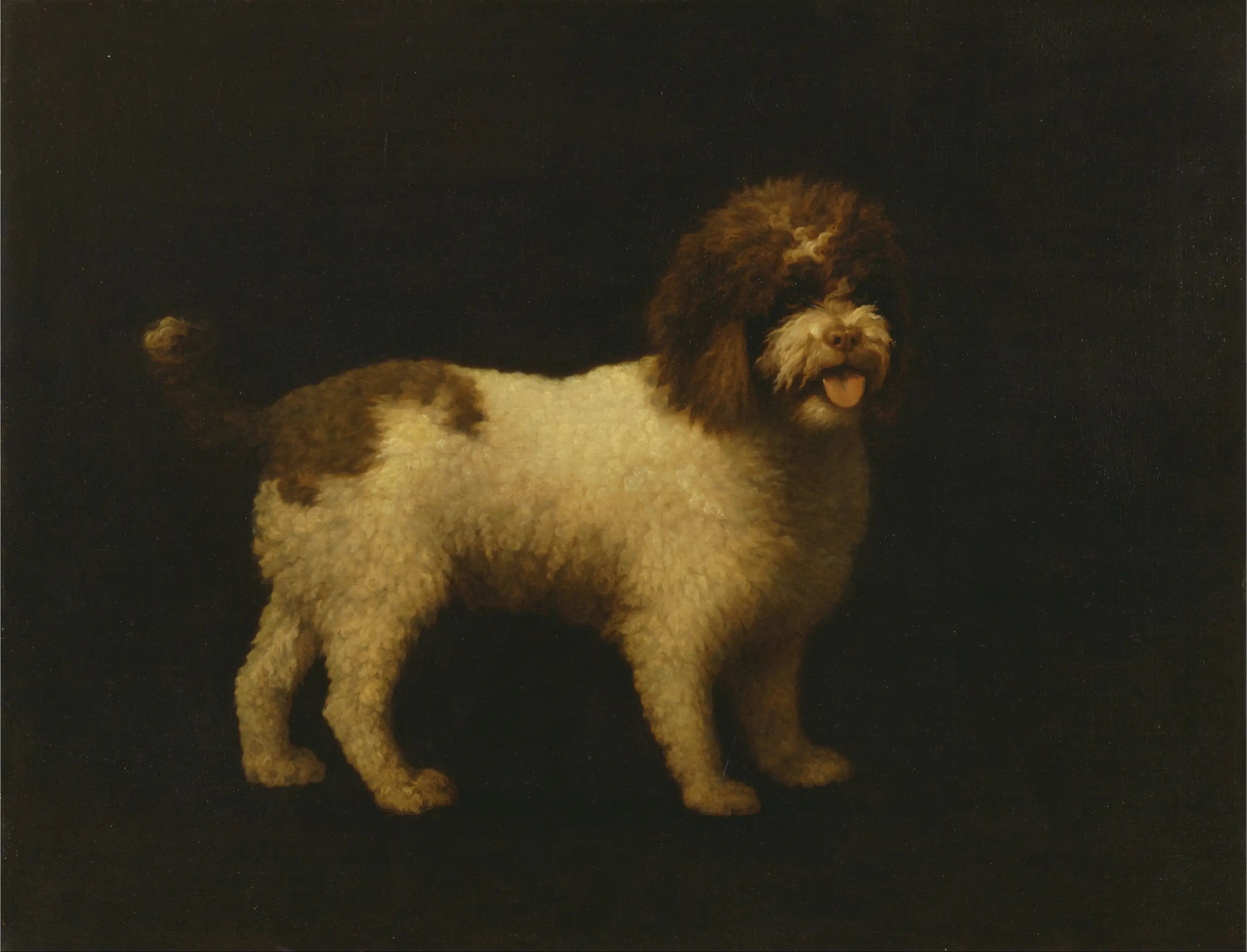 Épagneul d’eau - George Stubbs - Alpha Reproduction