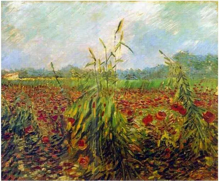 Épis de blé verts F562 de Vincent van Gogh