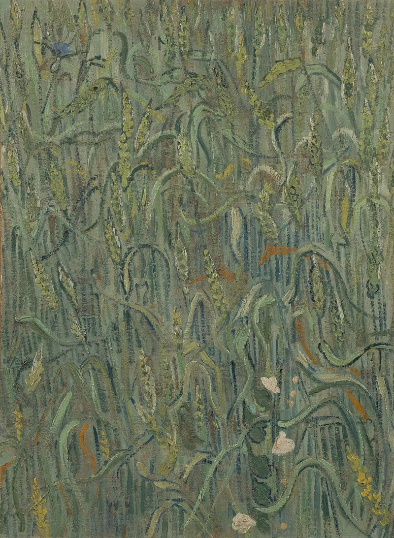 รวงข้าว - Vincent van Gogh