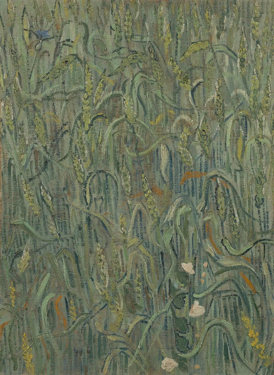 รวงข้าว - Vincent van Gogh