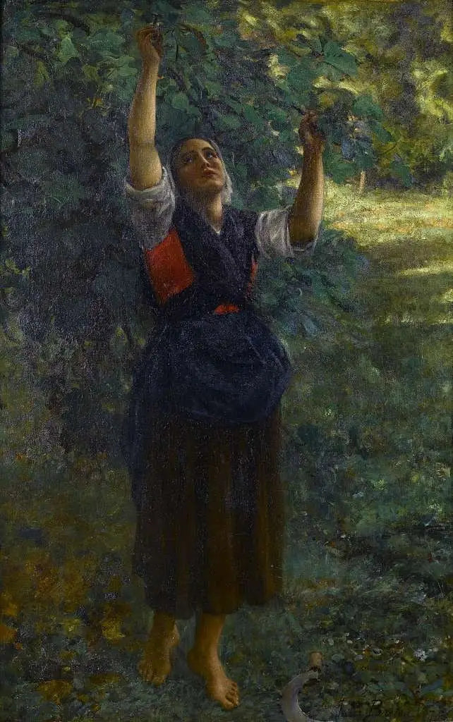 ภาพหญิงสาวเก็บลูกพุทรา - Jules Breton